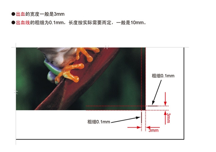 出血位設(shè)計圖示1